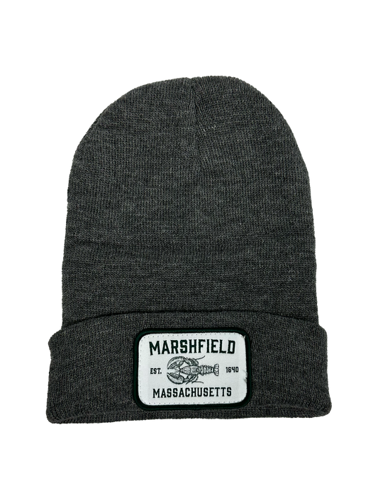 Marshfield Beanie